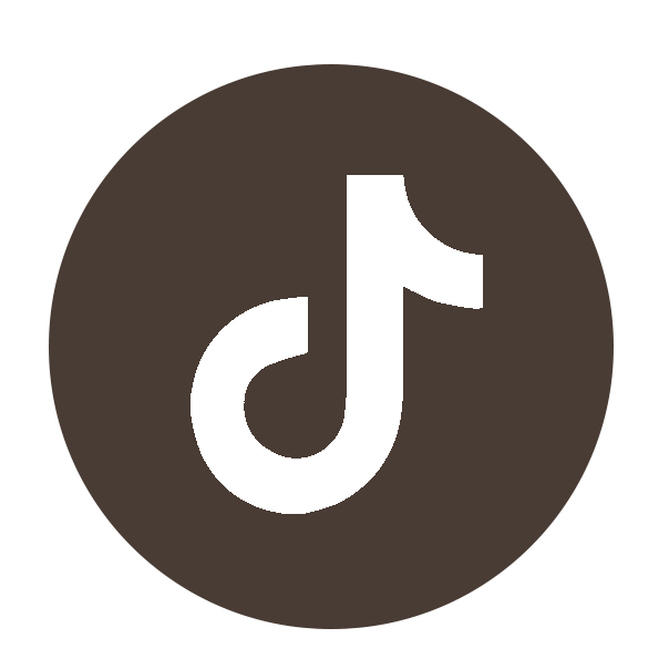 TikTok Icon
